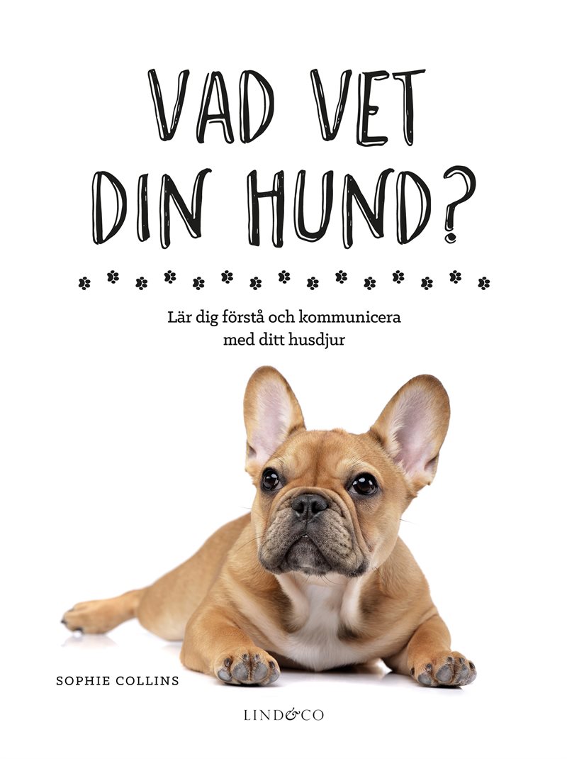 Vad vet din hund? : lär dig förstå och kommunicera med ditt husdjur