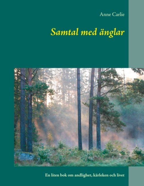 Samtal med änglar : En liten bok om andlighet, kärleken och livet