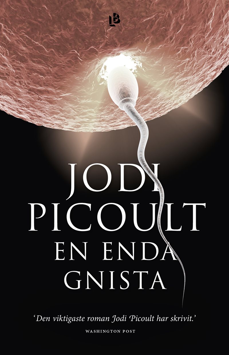 En enda gnista