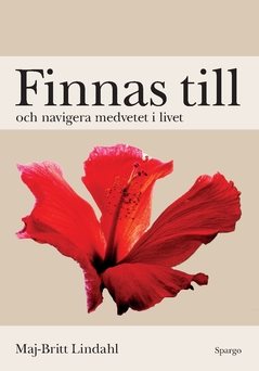 Finnas till och navigera medvetet i livet