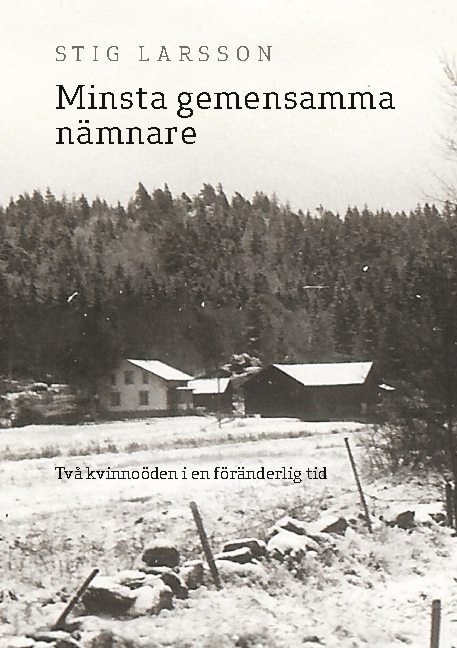 Minsta gemensamma nämnare : två kvinnoöden i en föränderlig tid