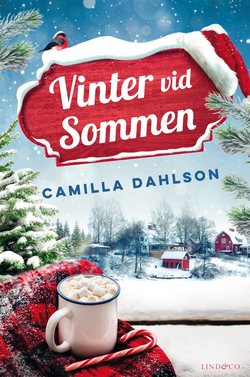 Vinter vid Sommen