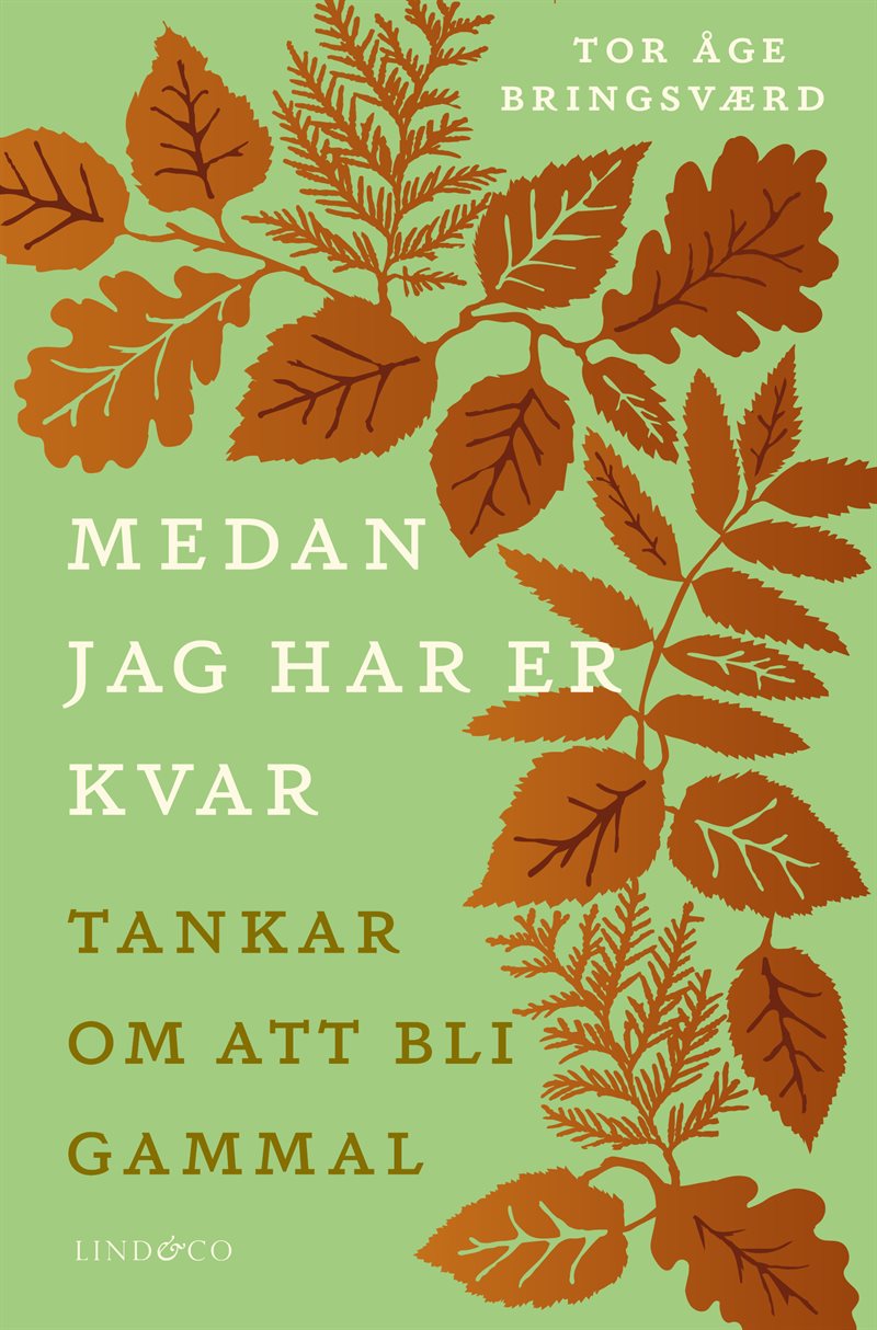 Medan jag har er kvar : tankar om att bli gammal