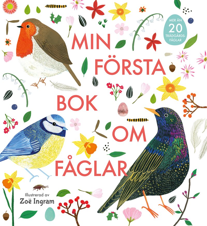 Min första bok om fåglar