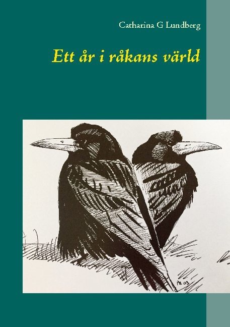 Ett år i råkans värld