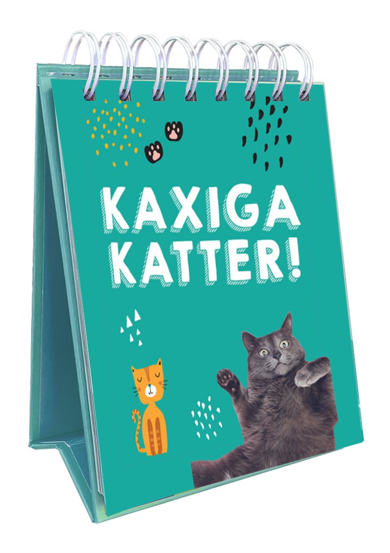 Kaxiga katter