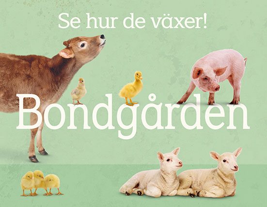 Se hur de växer! Bondgården