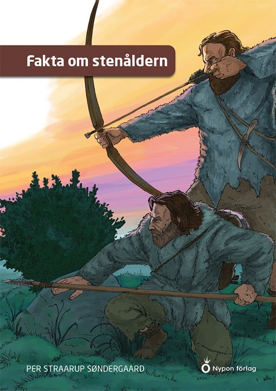 Fakta om stenåldern