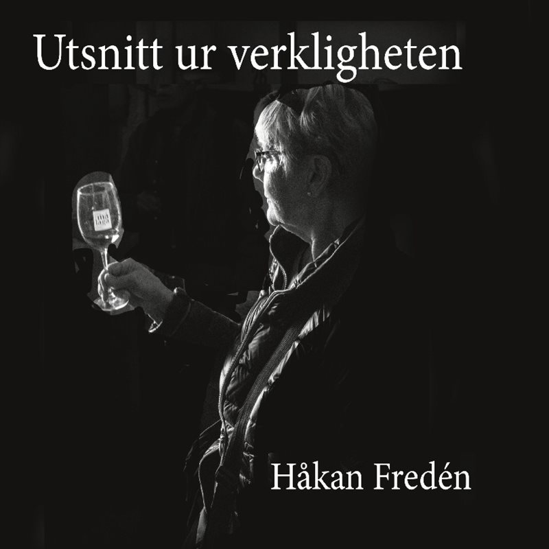 Utsnitt ur verkligheten