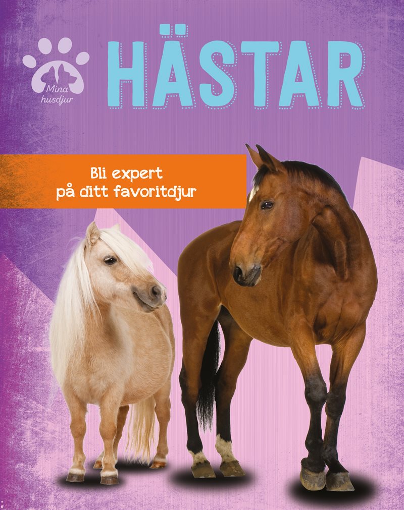 Hästar : bli expert på ditt favoritdjur