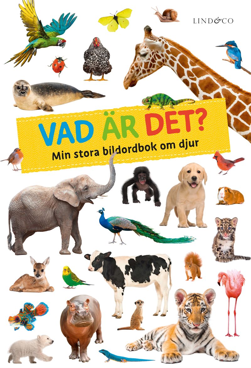 Vad är det? : min stora bildordbok om djur