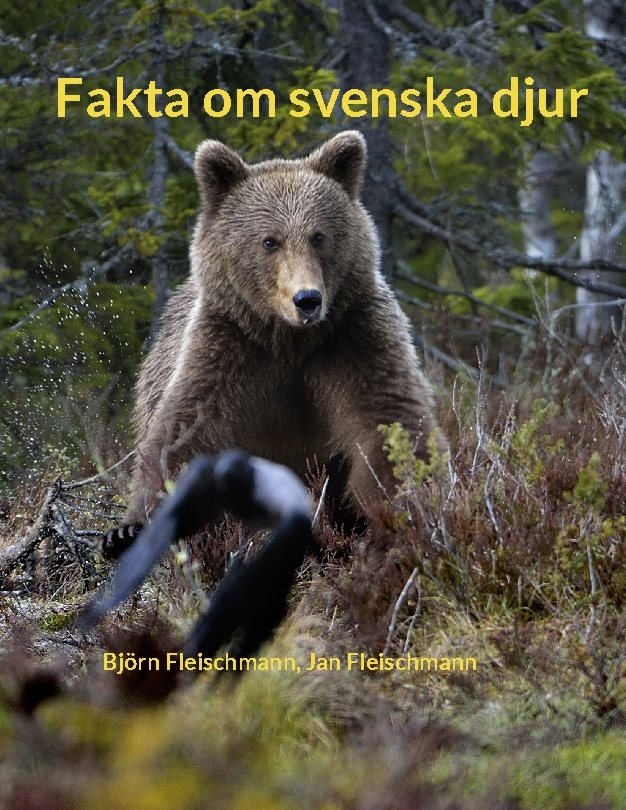 Fakta om svenska djur