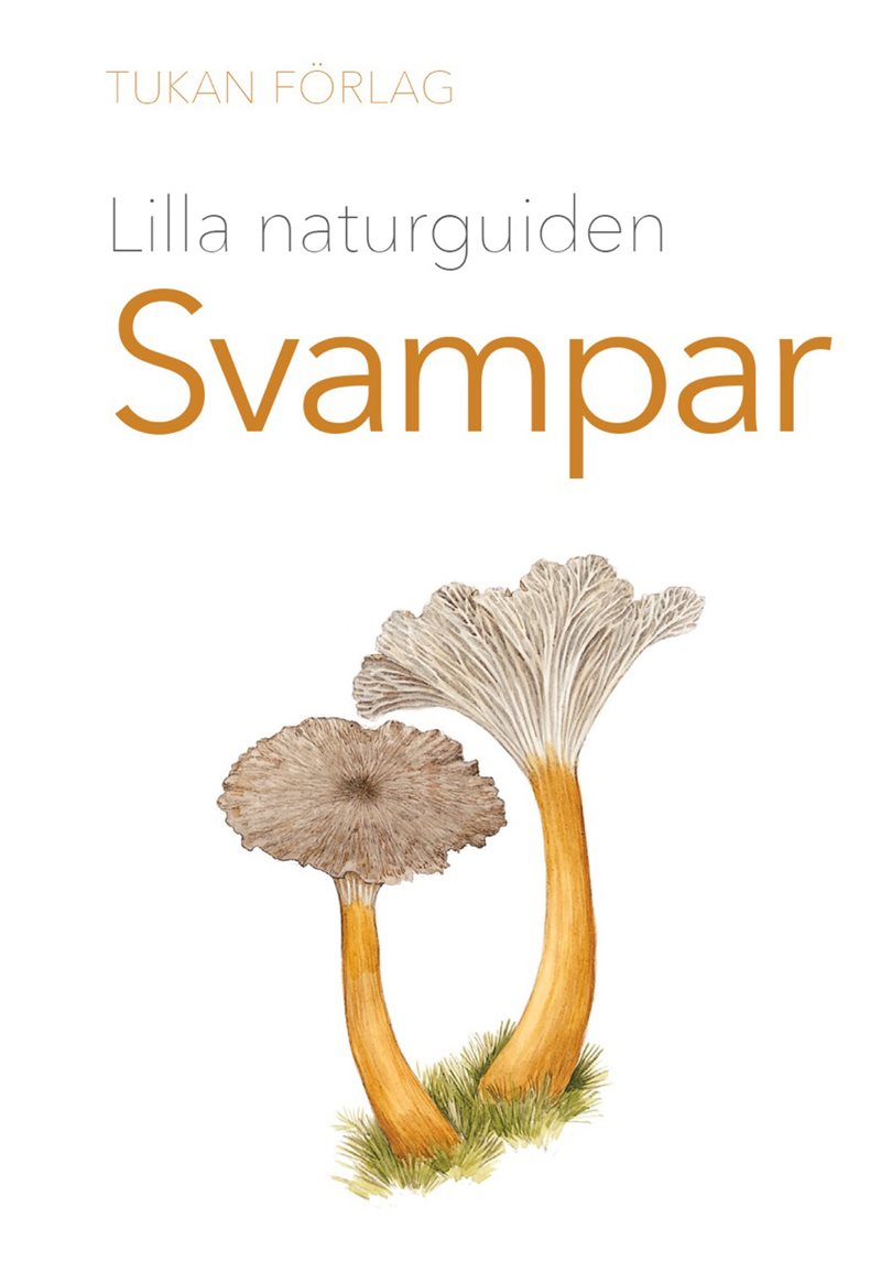 Lilla naturguiden : Svampar