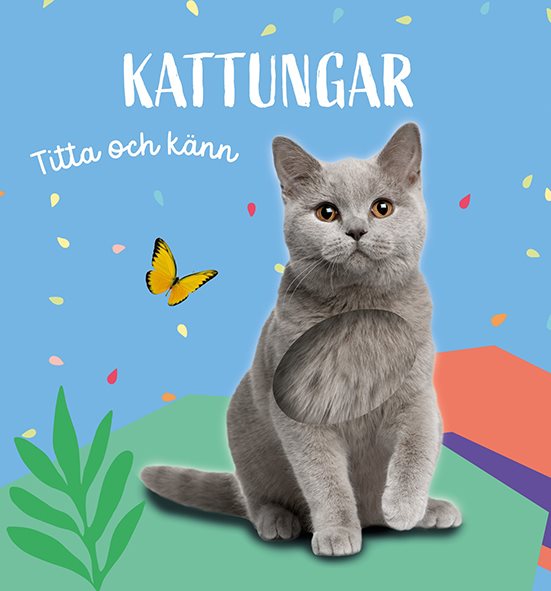 Titta och känn. Kattungar