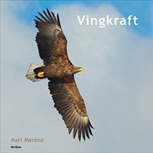 Vingkraft