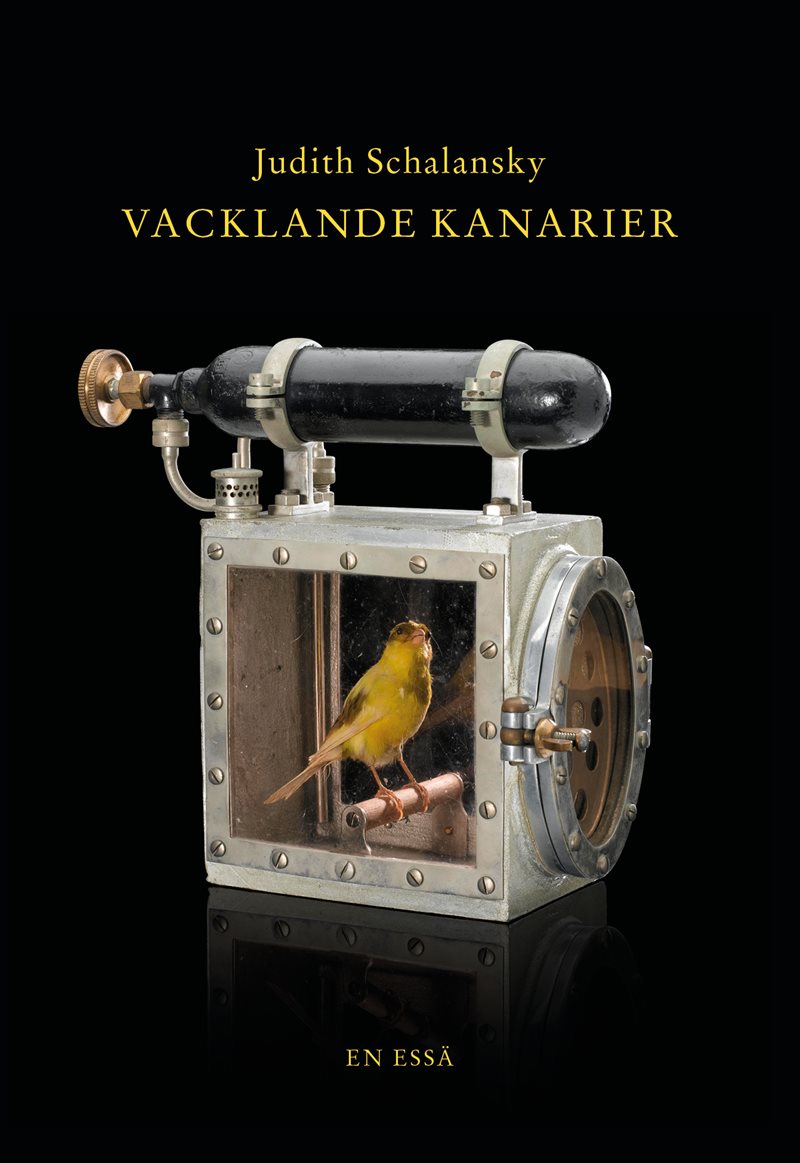 Vacklande kanarier