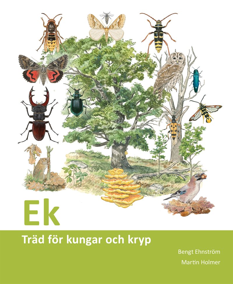 Ek : träd för kungar och kryp