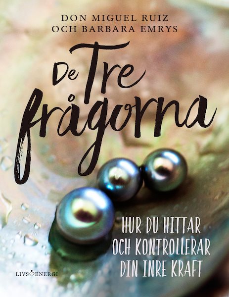 De tre frågorna : hur du hittar och kontrollerar din inre kraft