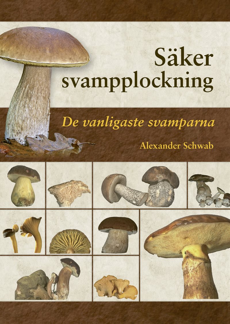 Säker svampplockning : de vanligaste svamparna