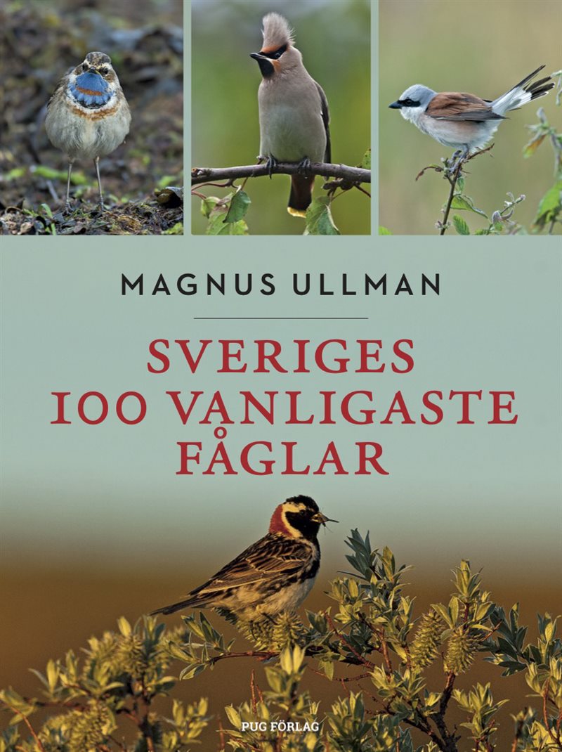 Sveriges 100 vanligaste fåglar