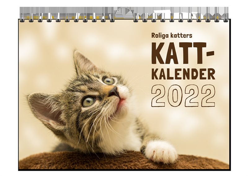 Roliga katters kattkalender 2022