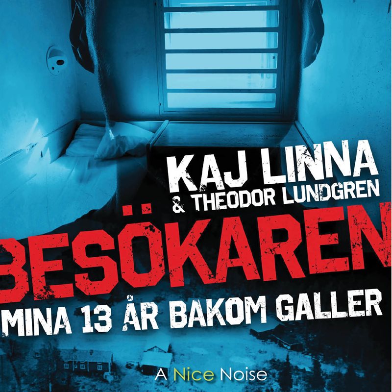 Besökaren : mina 13 år bakom galler