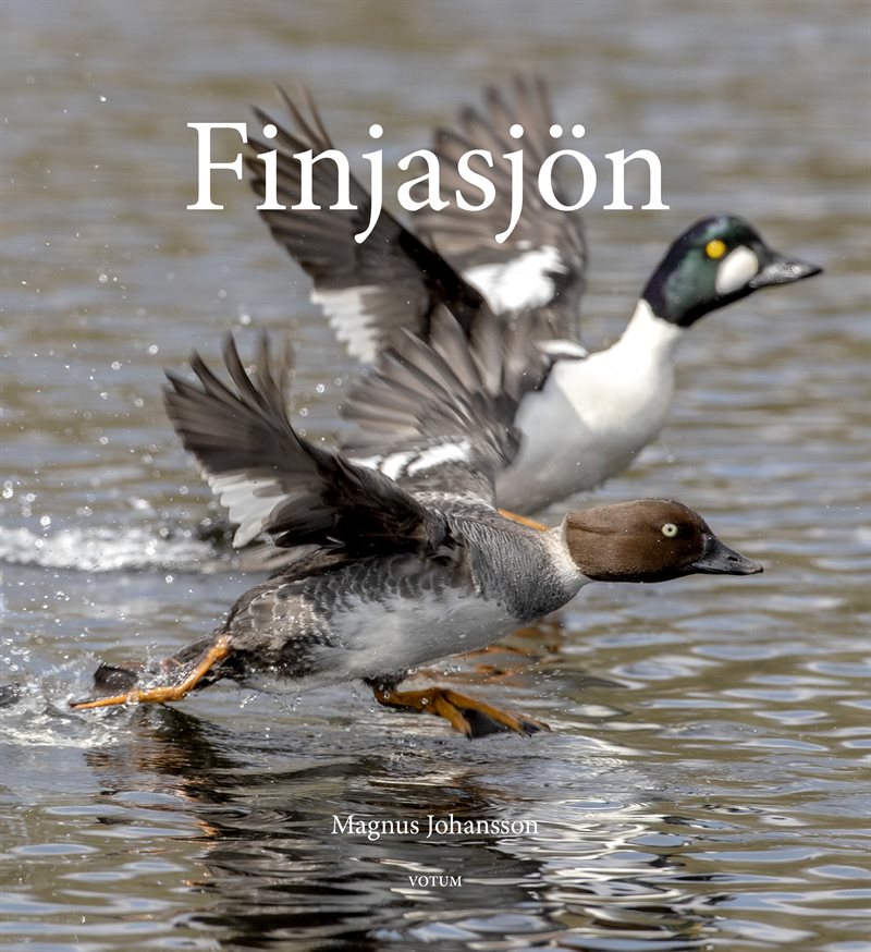 Finjasjön