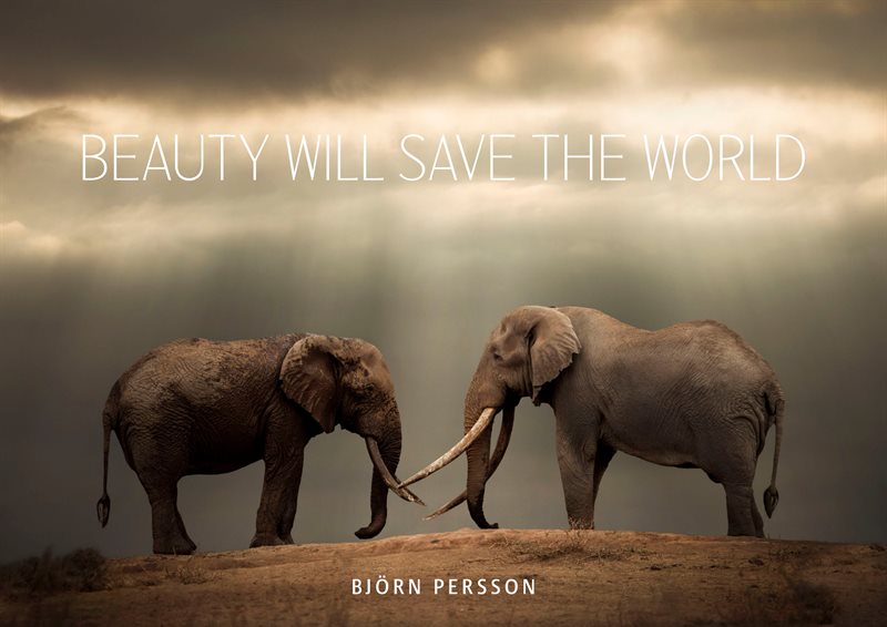 Beauty will save the world