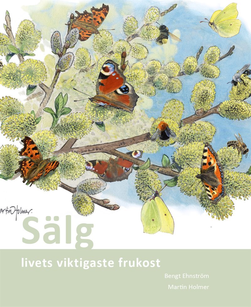 Sälg : livets viktigaste frukost