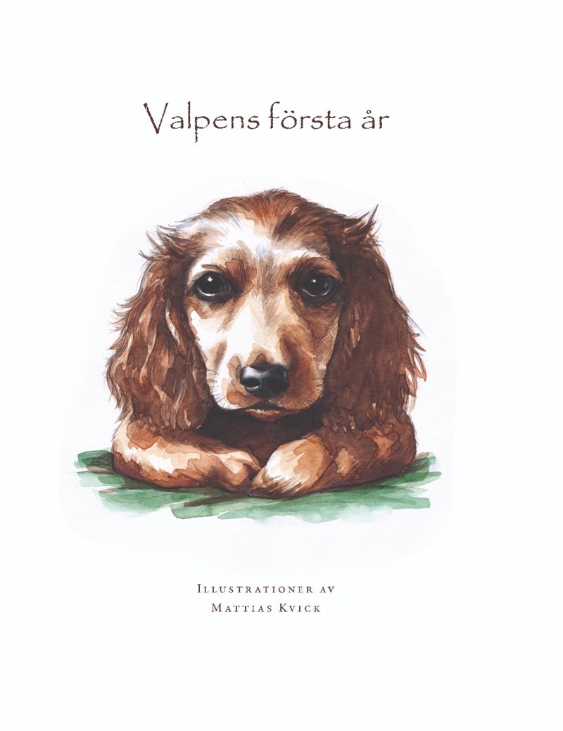 Valpens första år