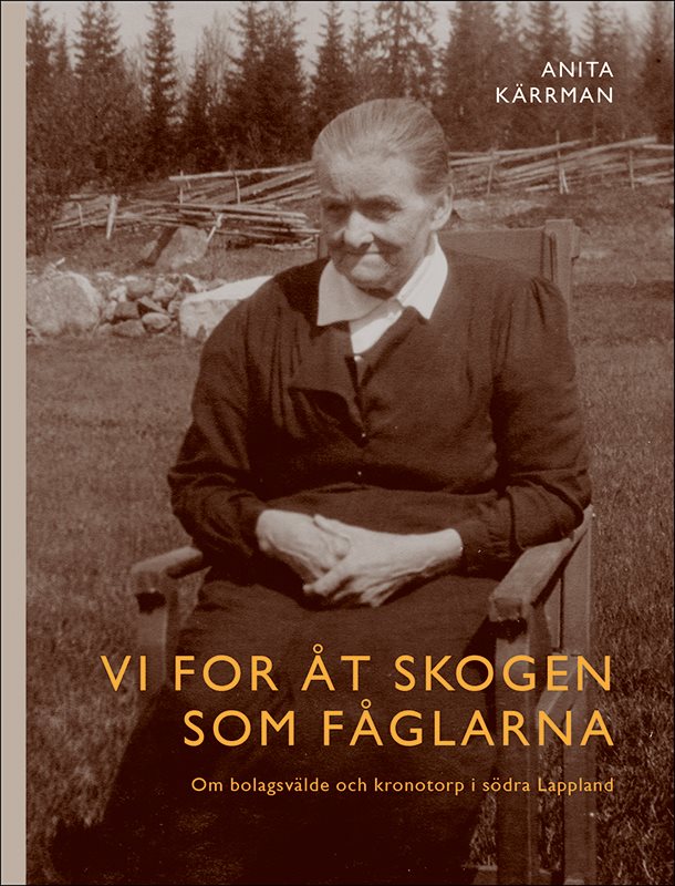 Vi for åt skogen som fåglarna : Om bolagsvälde och kronotorp i södra Lappland