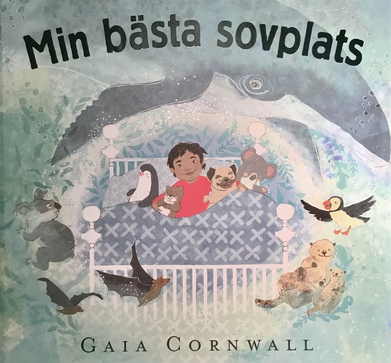 Min bästa sovplats