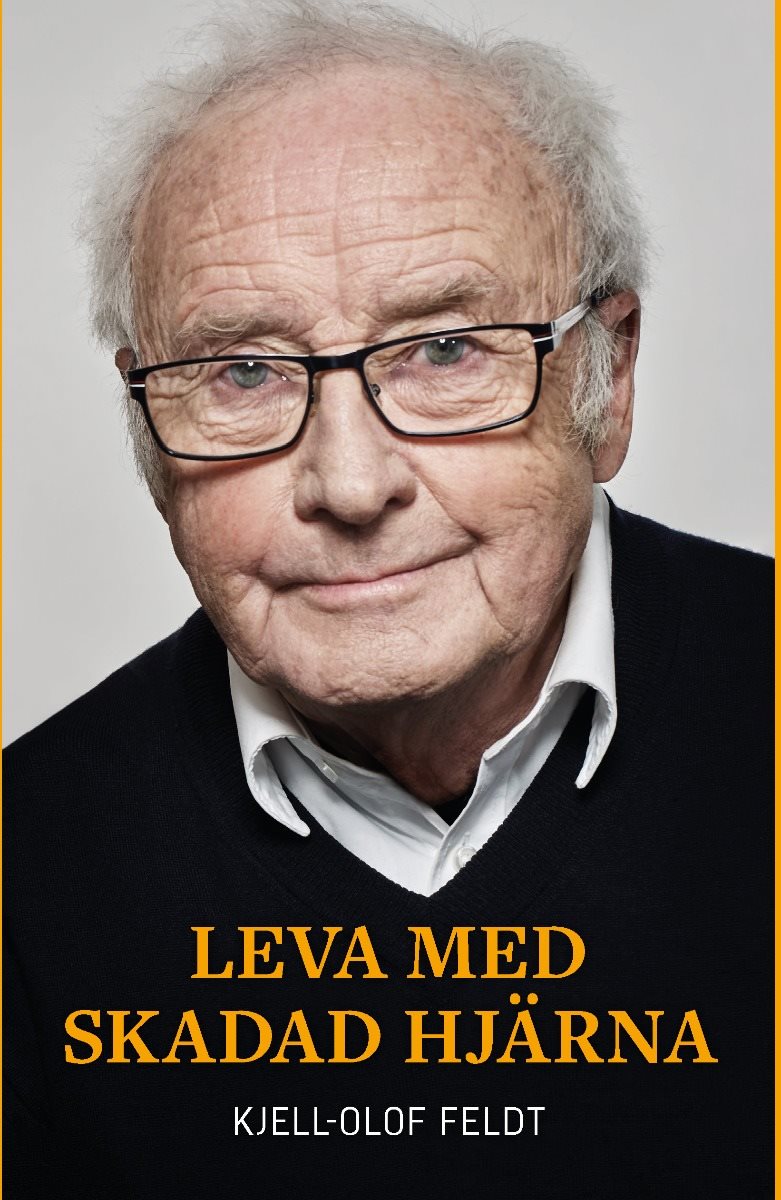 Leva med skadad hjärna