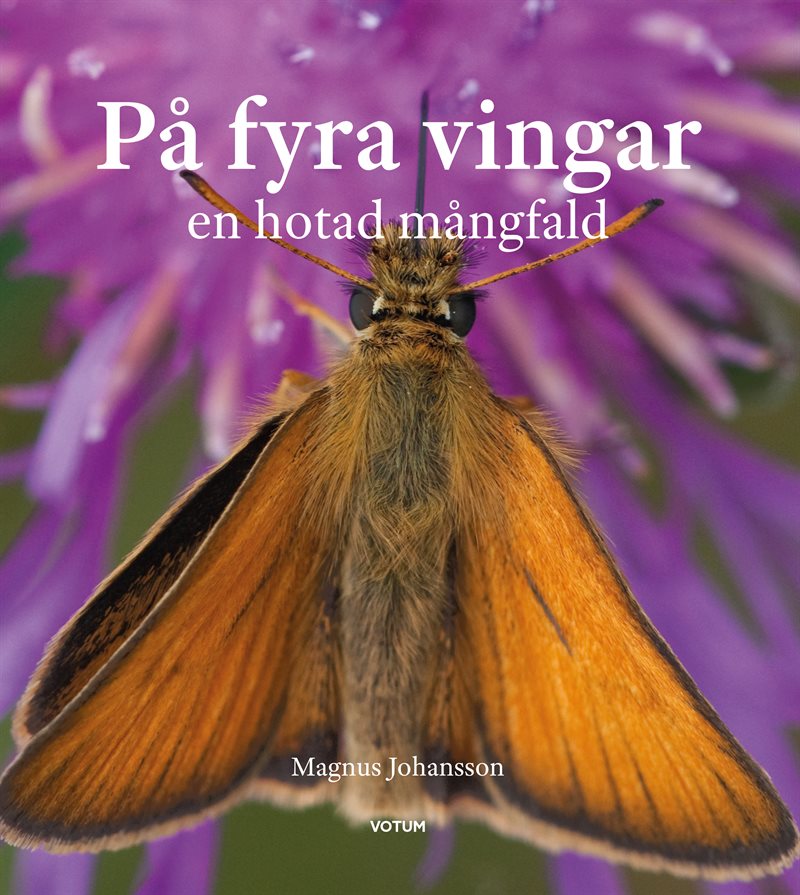 På fyra vingar : en hotad mångfald