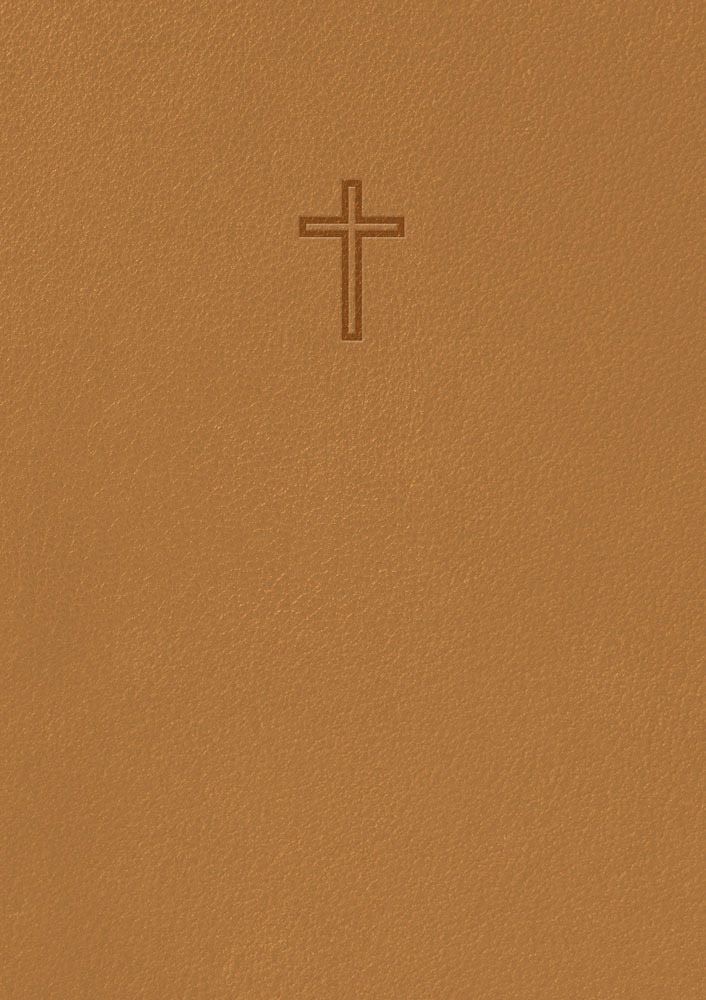 Svenska Folkbibeln 2015 : Slimline Bärnsten Konstskinn