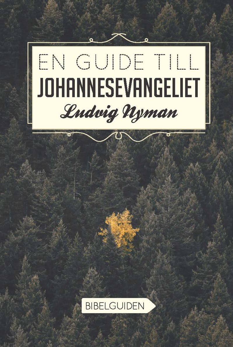 En guide till Johannesevangeliet