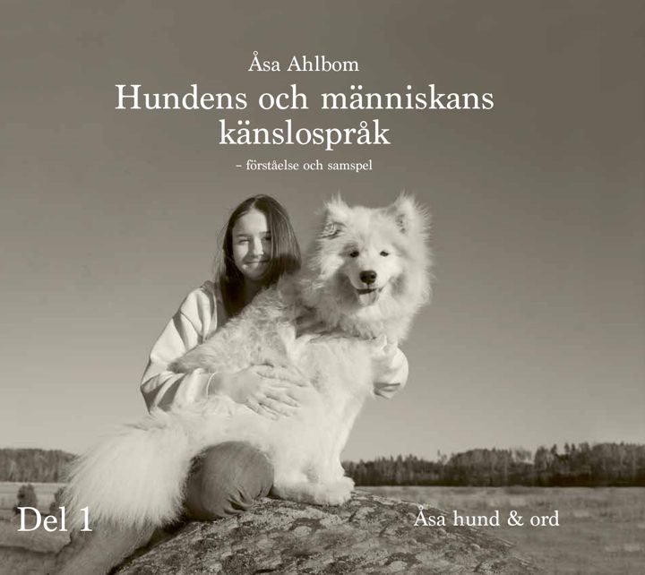 Förståelse och samspel