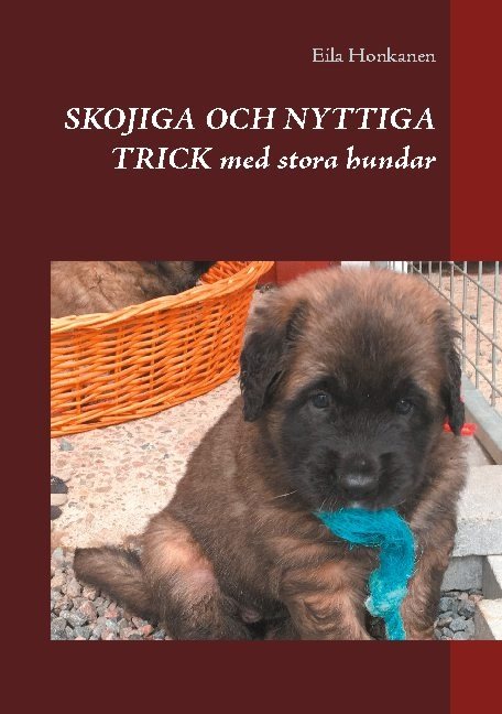 Skojiga och nyttiga trick med stora hundar