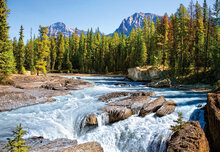 Athabasca River, Jasper Nation, 1500 bitar