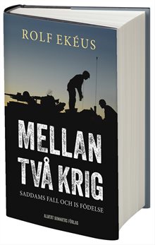 Mellan två krig : Saddams fall och IS födelse