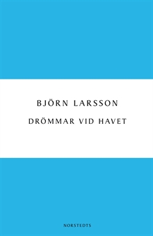 Drömmar vid havet