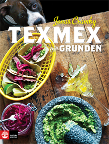 Texmex från grunden