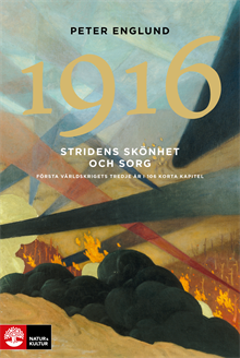 Stridens skönhet och sorg 1916 : första världskrigets tredje år i 106 korta kapitel