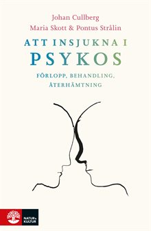 Att insjukna i psykos : förlopp, behandling, återhämtning