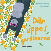 Där uppe i gardinerna