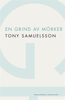 En grind av mörker : roman