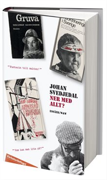 Ner med allt? : essäer om protestlitteraturen och demokratin, cirka 1965-1975