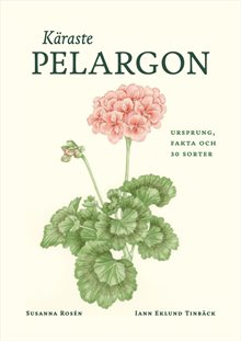 Käraste pelargon : Ursprung, fakta och 30 sorter