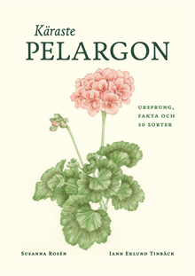 Käraste pelargon : Ursprung, fakta och 30 sorter