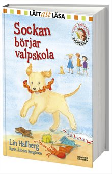 Sockan börjar valpskola